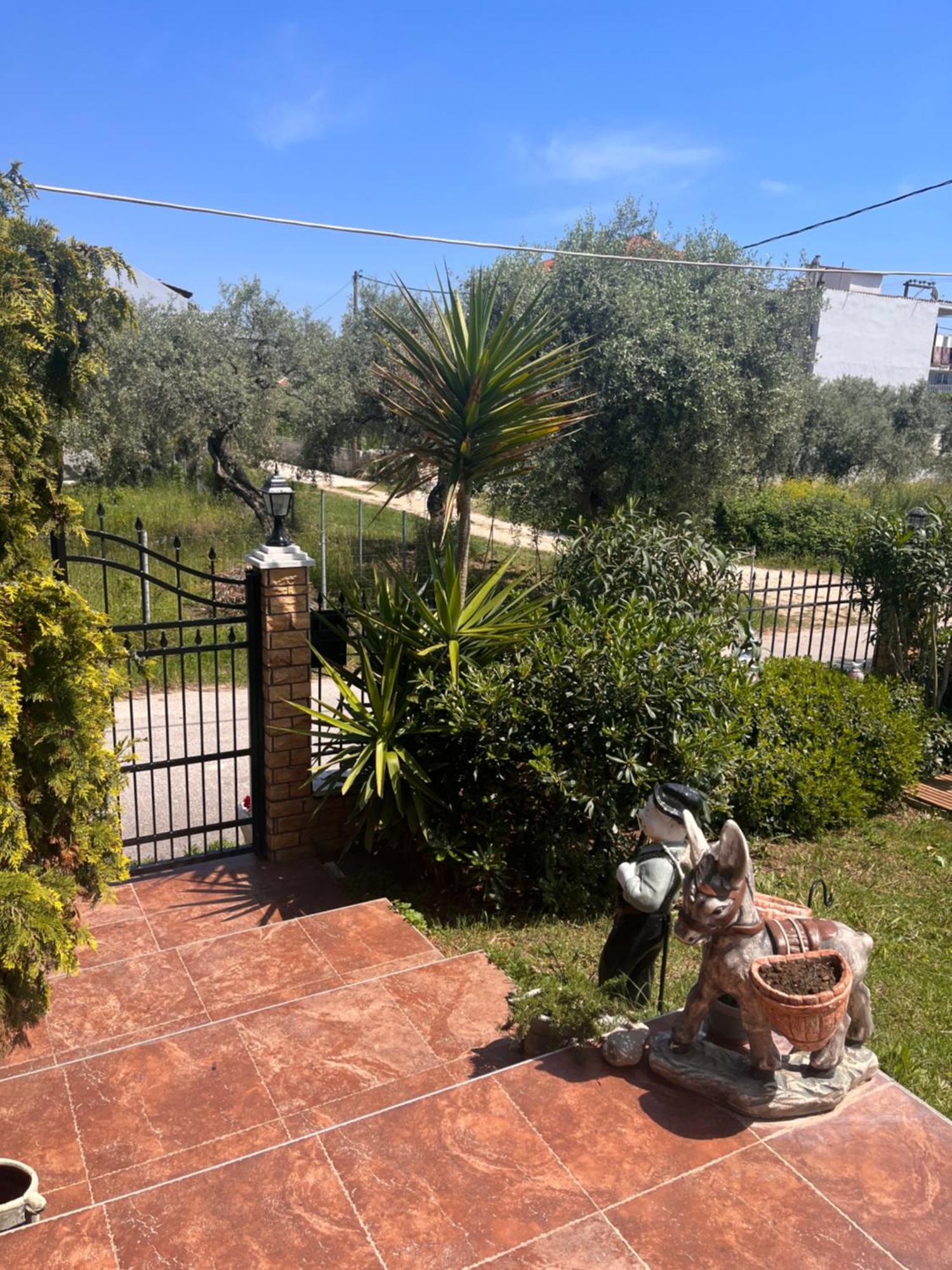 Alrose Appartement Limenaria  Buitenkant foto