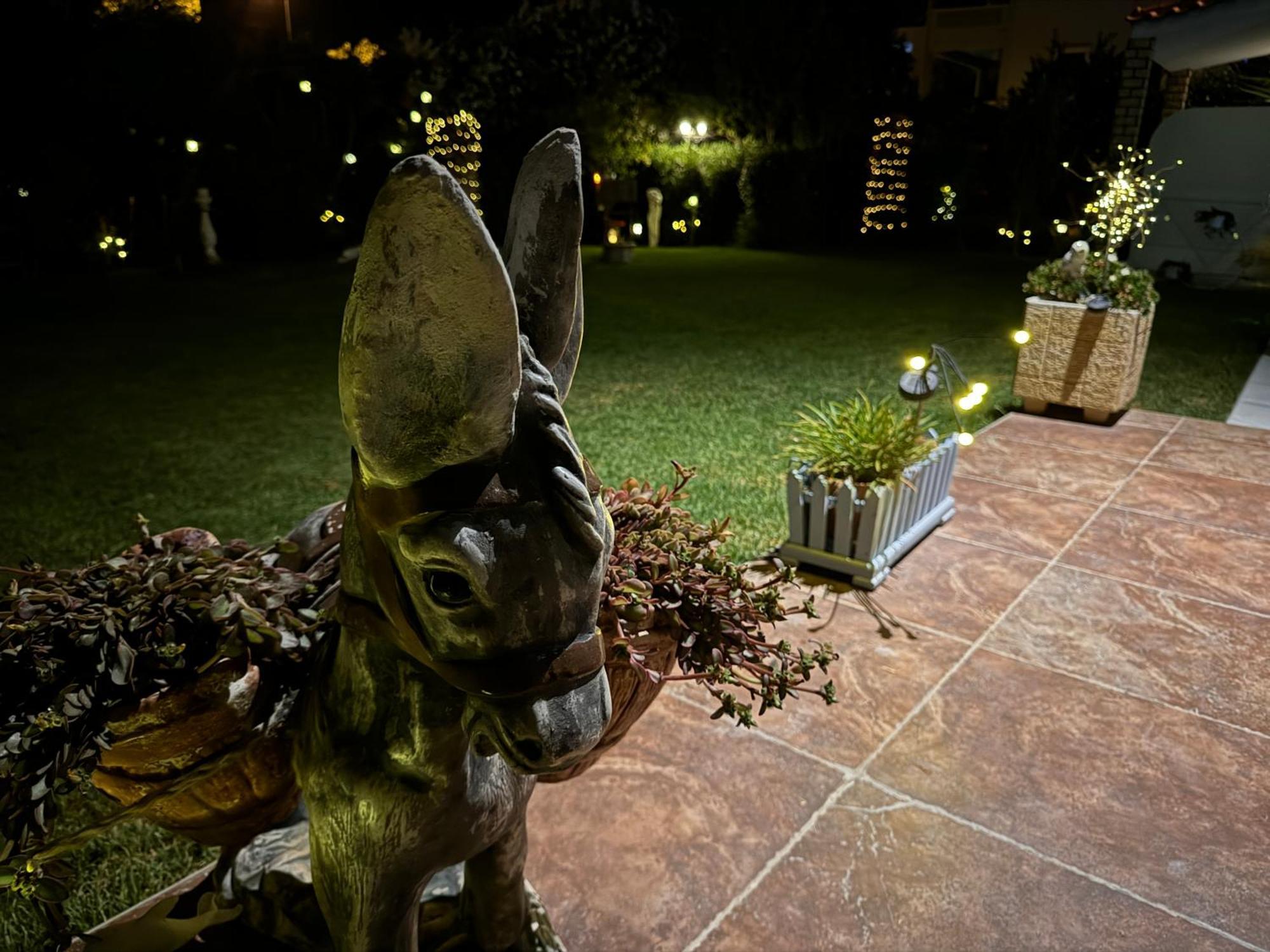 Alrose Appartement Limenaria  Buitenkant foto